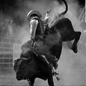 Meet your Posher, Hunter